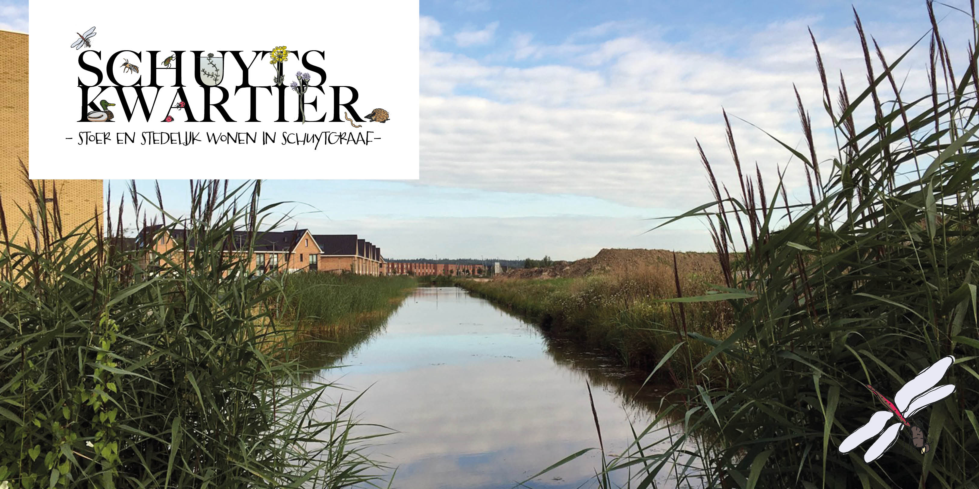 Buurt in beeld - Schuyts Kwartier - Water met riet 