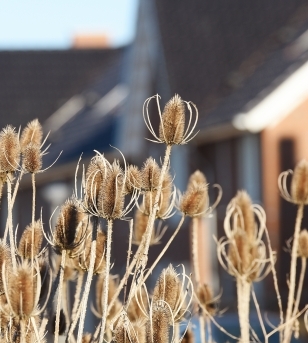 Aanvullend onderzoek ontsluiting veld 1 beschikbaar