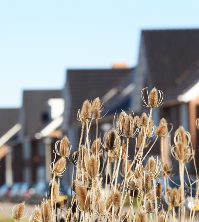 Aanvullend onderzoek ontsluiting veld 2