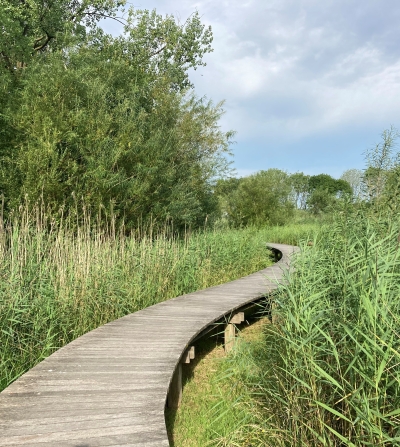 Vlonderpad - Natuurwerkdag